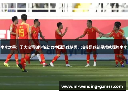 未来之星：于大宝青训学院助力中国足球梦想，培养足球新星成就辉煌未来
