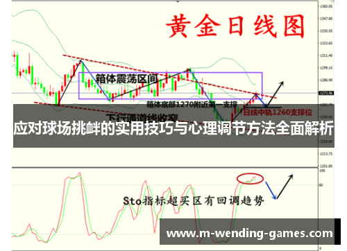 应对球场挑衅的实用技巧与心理调节方法全面解析