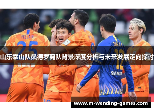 山东泰山队桑德罗离队背景深度分析与未来发展走向探讨