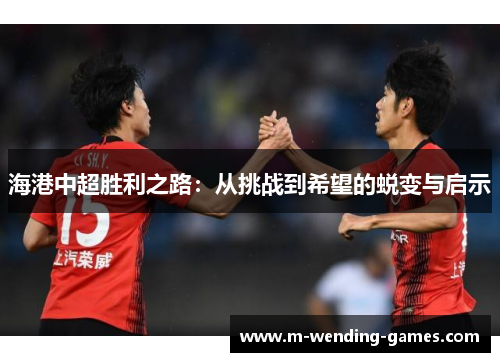 海港中超胜利之路：从挑战到希望的蜕变与启示