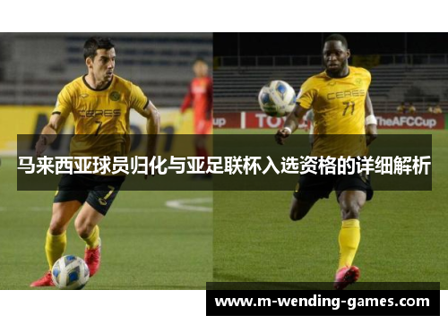 马来西亚球员归化与亚足联杯入选资格的详细解析 马来西亚球员归化与亚足联杯入选资格的详细解析