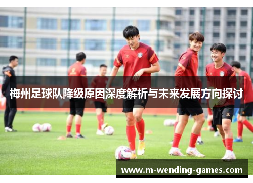 梅州足球队降级原因深度解析与未来发展方向探讨