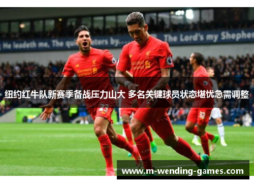 纽约红牛队新赛季备战压力山大 多名关键球员状态堪忧急需调整