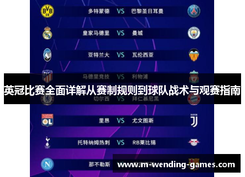英冠比赛全面详解从赛制规则到球队战术与观赛指南