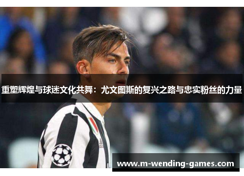 重塑辉煌与球迷文化共舞:尤文图斯的复兴之路与忠实粉丝的力量 重塑辉煌与球迷文化共舞:尤文图斯的复兴之路与忠实粉丝的力量