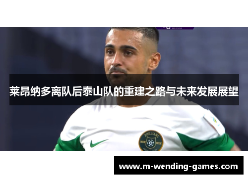 莱昂纳多离队后泰山队的重建之路与未来发展展望